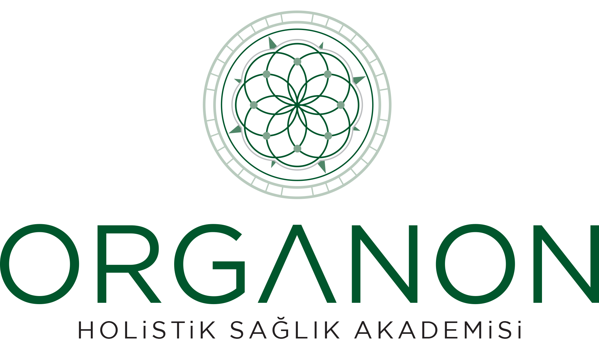 Pratisyen Egitimi Organon Holistik